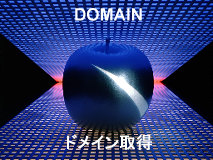 �h���C���擾�T�[�r�X